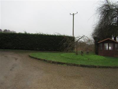 Picture 10